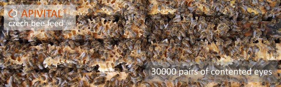 APIVITAL® syrup - the bee feed, what is hundred per cent clean, safe, economical and easy to use for both: beekeeper and bees 