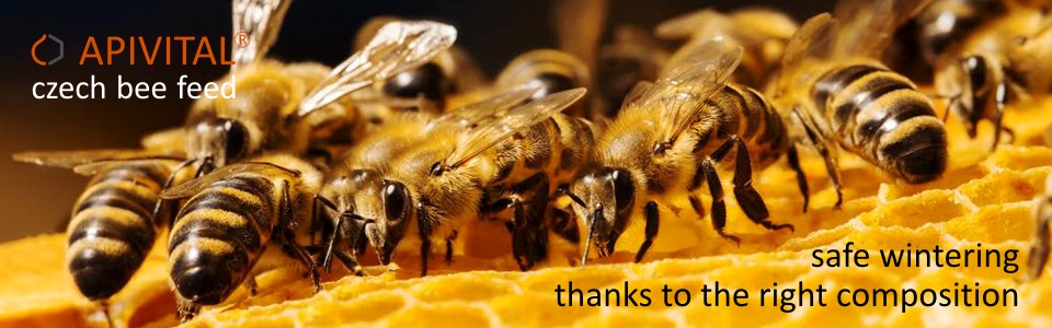 APIVITAL® syrup - we use for feeding our bees the feed, what is clean, safe, money saving and 100% utilizable by bees